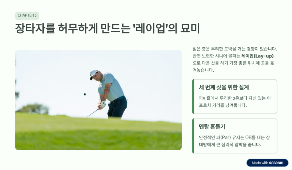 젊은 사람 이기는 '전략적 파크골프': 힘 대신 머리로 치는 법 -4