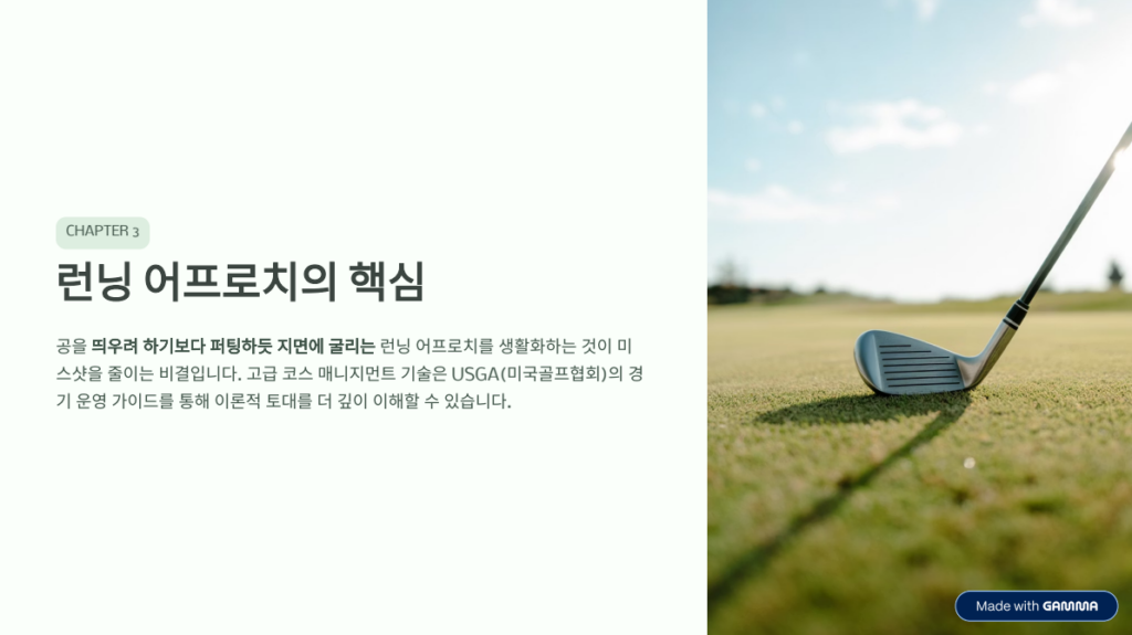 젊은 사람 이기는 '전략적 파크골프': 힘 대신 머리로 치는 법 -6