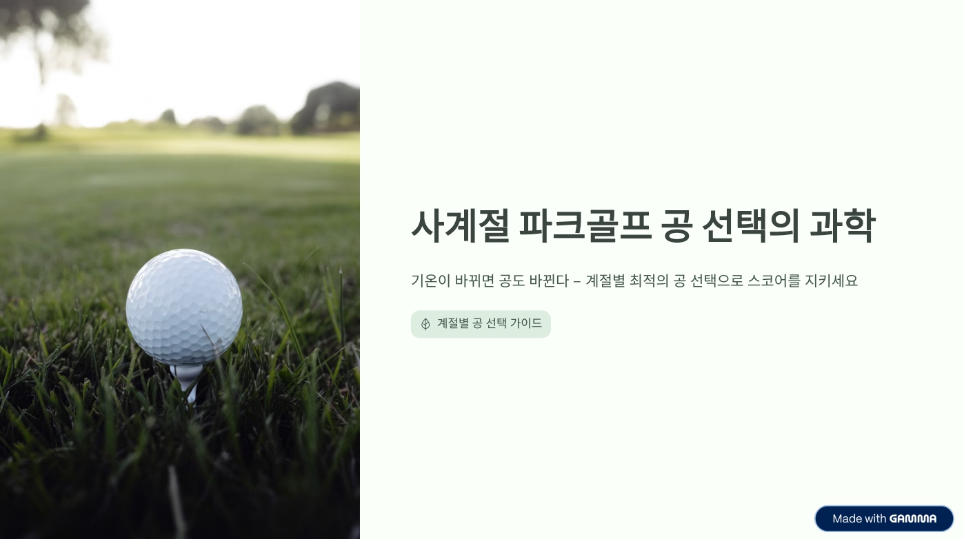 파크골프 공 선택의 기술: 계절에 따라 공도 바꿔야 한다?