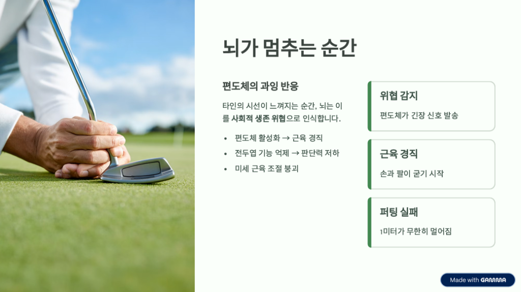 죽어도 안 들어가는 '1미터 퍼팅', 뇌과학으로 해결하기 -1