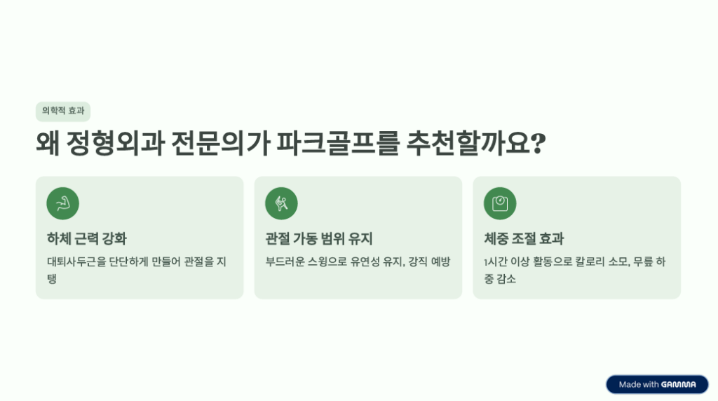 "100세 무릎" 지키는 파크골프 처방법: 의사들이 추천하는 이유 -1 