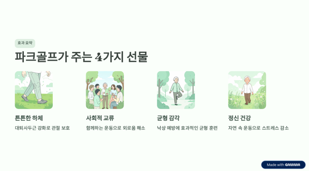 "100세 무릎" 지키는 파크골프 처방법: 의사들이 추천하는 이유 -4